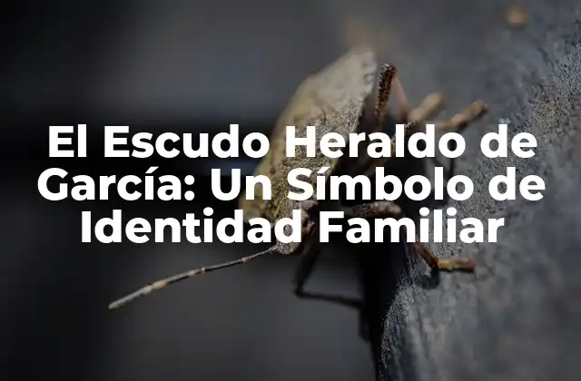 El Escudo Heraldo de García: un Símbolo de Identidad Familiar