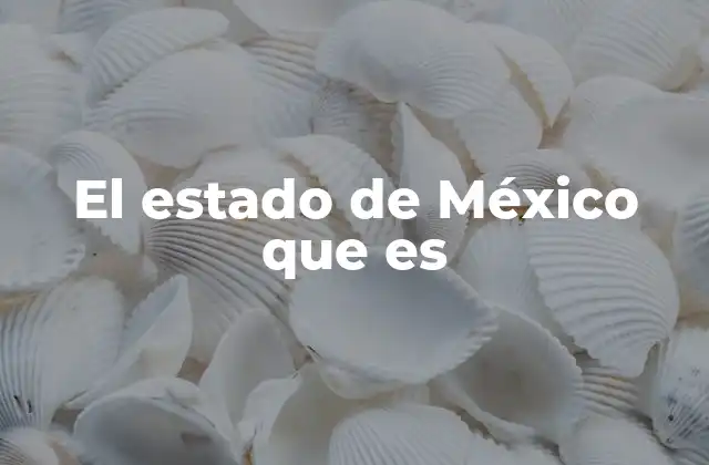 El Estado de México que es