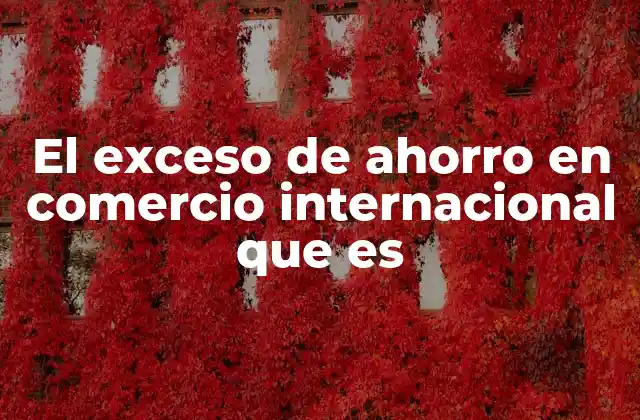 El Exceso de Ahorro en Comercio Internacional que es