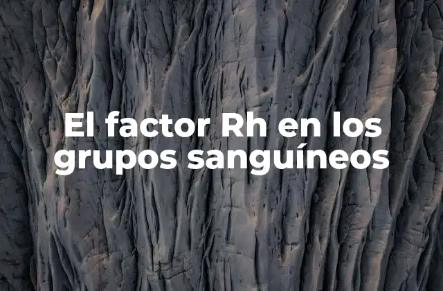 El Factor Rh en los Grupos Sanguíneos
