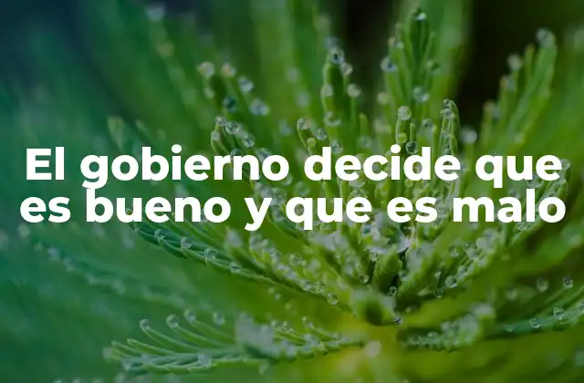 La influencia de los valores culturales en las decisiones gubernamentales