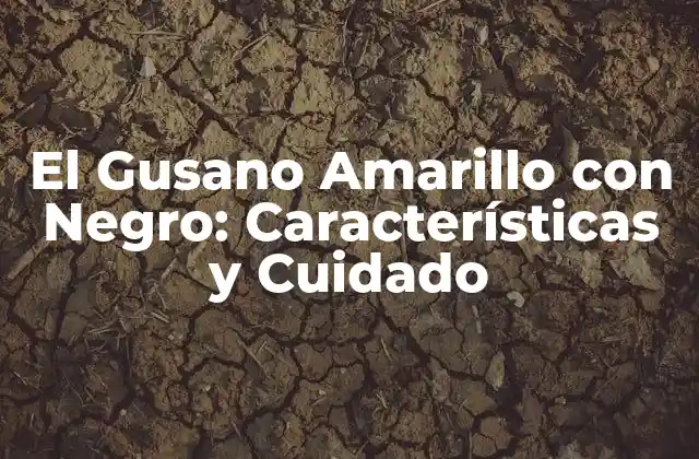 El Gusano Amarillo con Negro: Características y Cuidado