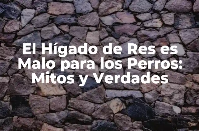 El Hígado de Res es Malo para los Perros: Mitos y Verdades
