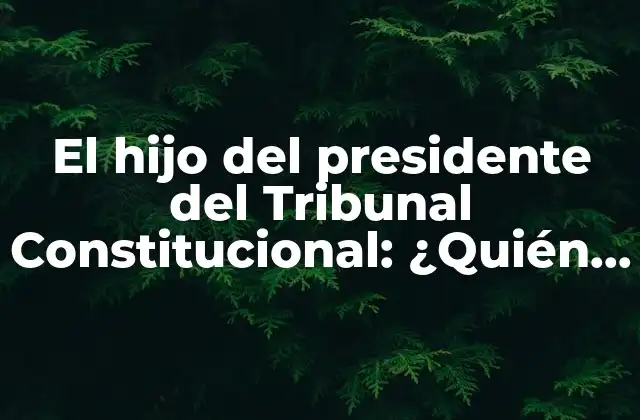 El Hijo Del Presidente Del Tribunal Constitucional: ¿quién es y Qué Hace?