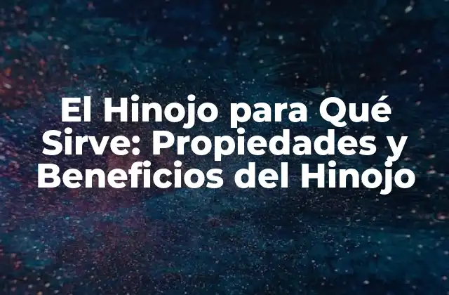 El Hinojo para Qué Sirve: Propiedades y Beneficios Del Hinojo