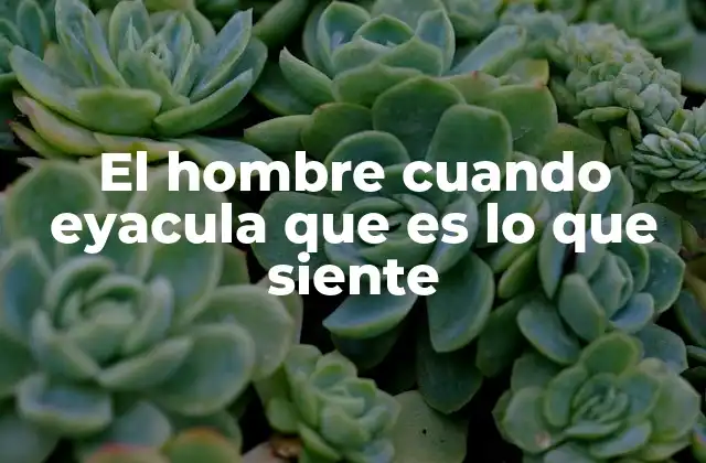 El Hombre Cuando Eyacula que es Lo que Siente