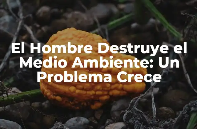 El Hombre Destruye el Medio Ambiente: un Problema Crece