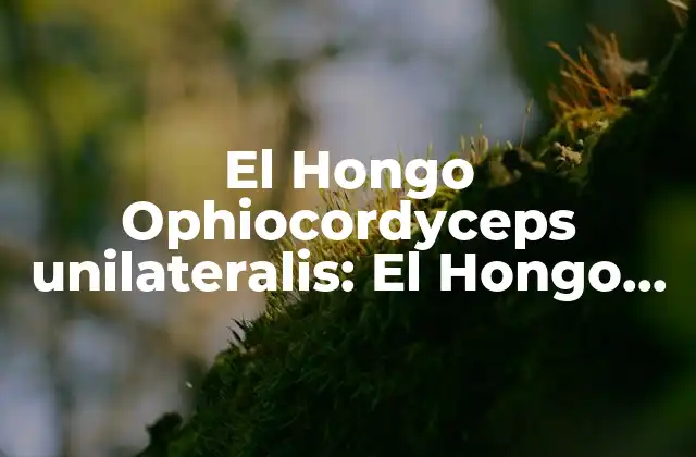 El Hongo Ophiocordyceps Unilateralis: el Hongo que Hace Zombies a las Hormigas