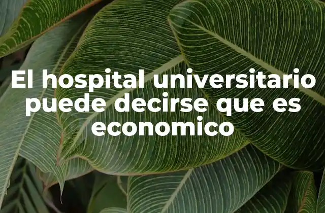 El Hospital Universitario Puede Decirse que es Economico