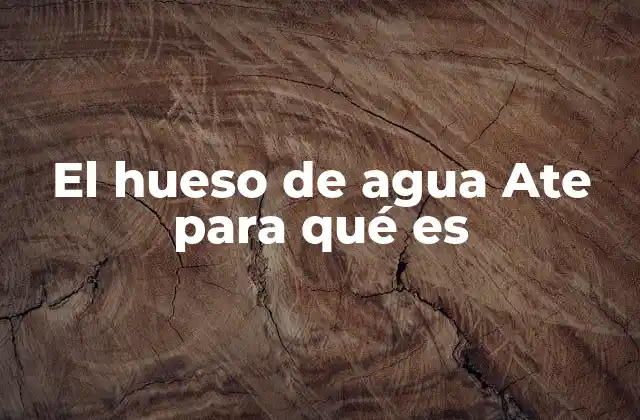 La importancia del uso de plantas medicinales en la salud