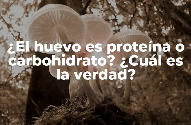 ¿el Huevo es Proteína o Carbohidrato? ¿cuál es la Verdad?