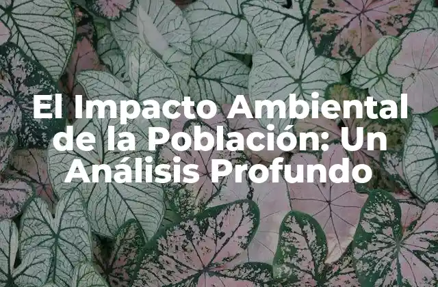 El Impacto Ambiental de la Población: un Análisis Profundo