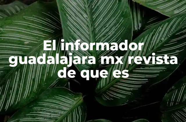El Informador Guadalajara Mx Revista de que es