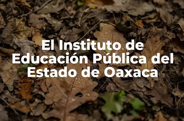 El Instituto de Educación Pública Del Estado de Oaxaca