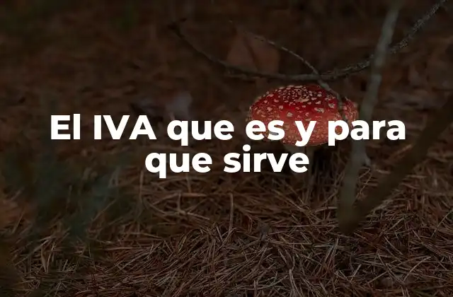 El Iva que es y para que Sirve