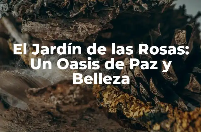 El Jardín de las Rosas: un Oasis de Paz y Belleza