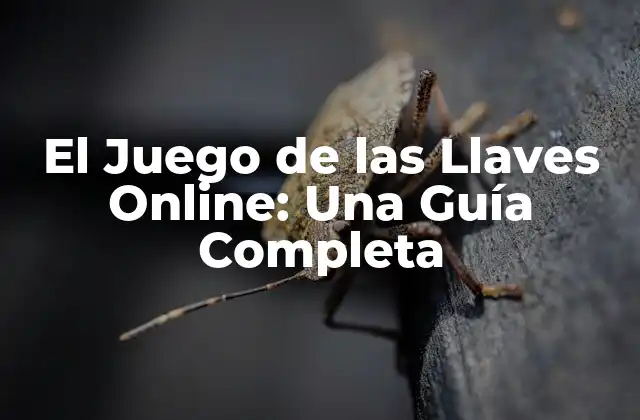¿Cuál es el Objetivo del Juego de las Llaves Online?