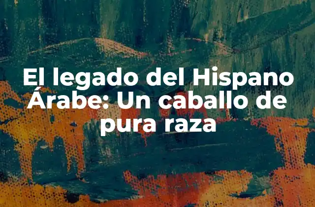 El Legado Del Hispano Árabe: un Caballo de Pura Raza