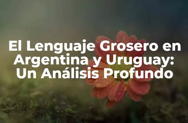 El Lenguaje Grosero en Argentina y Uruguay: un Análisis Profundo
