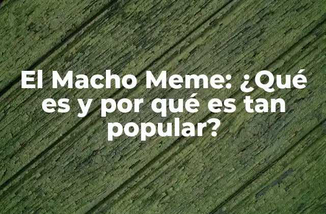 El Macho Meme: ¿qué es y por Qué es Tan Popular?
