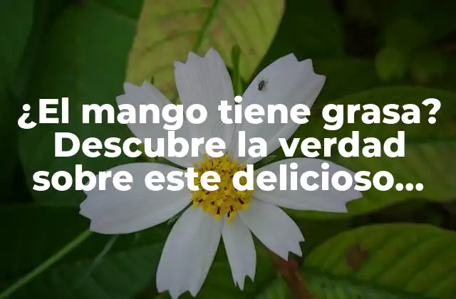 ¿el Mango Tiene Grasa? Descubre la Verdad sobre Este Delicioso Fruto