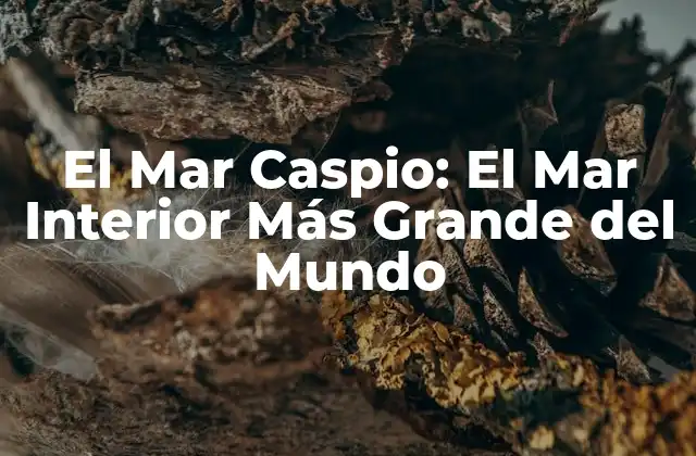 El Mar Caspio: el Mar Interior Más Grande Del Mundo 2 ¿Dónde se encuentra el Mar Caspio?