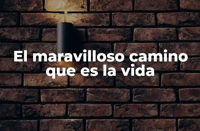 El Maravilloso Camino que es la Vida