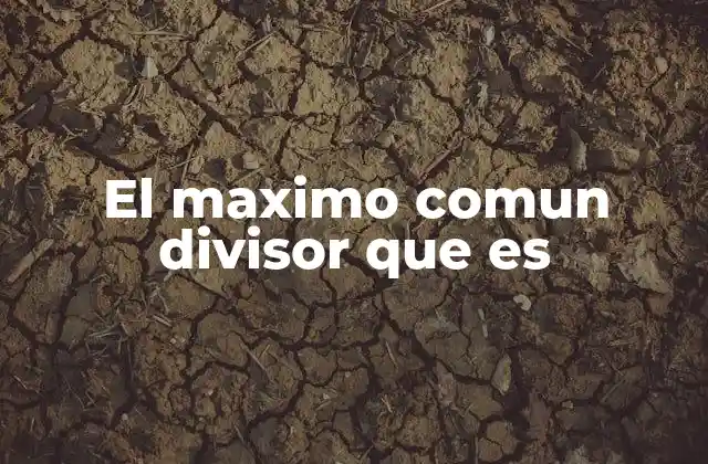 El Maximo Comun Divisor que es