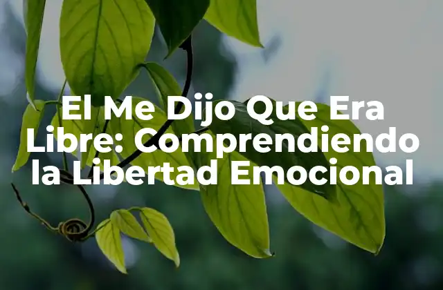 El Me Dijo que Era Libre: Comprendiendo la Libertad Emocional