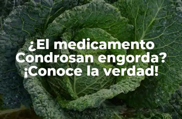 ¿el Medicamento Condrosan Engorda? ¡conoce la Verdad! 2 ¿Cómo funciona Condrosan?