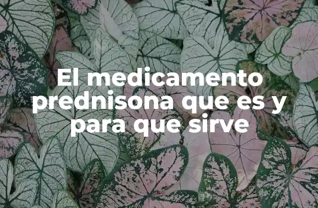 El Medicamento Prednisona que es y para que Sirve 2 Cómo actúa la prednisona en el organismo humano