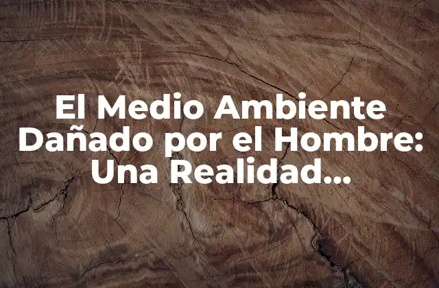 El Medio Ambiente Dañado por el Hombre: una Realidad Ineludible