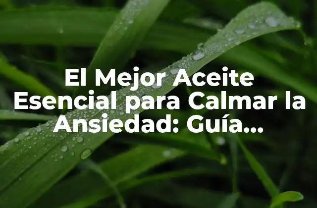 El Mejor Aceite Esencial para Calmar la Ansiedad: Guía Completa
