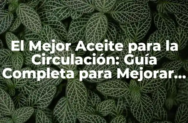 El Mejor Aceite para la Circulación: Guía Completa para Mejorar la Salud Cardiovascular