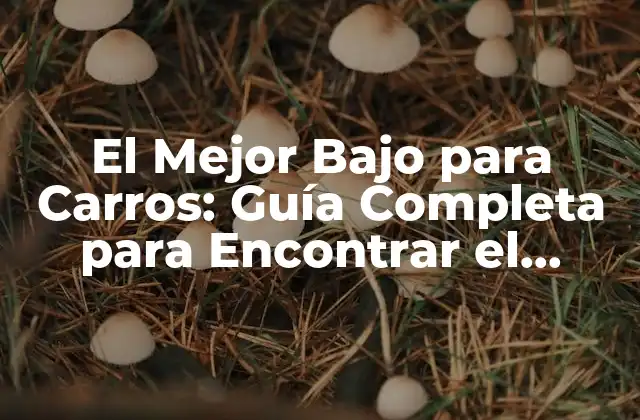 El Mejor bajo para Carros: Guía Completa para Encontrar el Sonido Perfecto 2 ¿Cuál es el Propósito de un Bajo en un Coche?