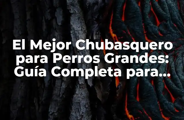 El Mejor Chubasquero para Perros Grandes: Guía Completa para Propietarios de Perros