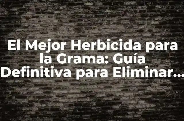 El Mejor Herbicida para la Grama: Guía Definitiva para Eliminar Malezas