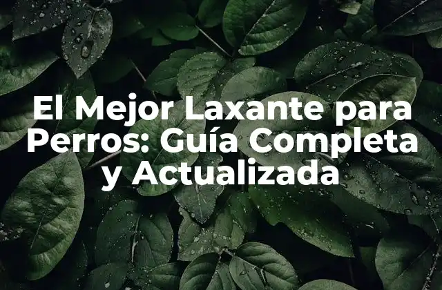 El Mejor Laxante para Perros: Guía Completa y Actualizada