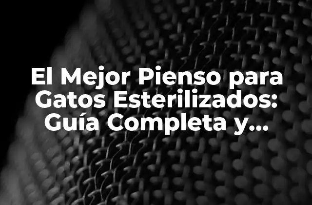 El Mejor Pienso para Gatos Esterilizados: Guía Completa y Actualizada