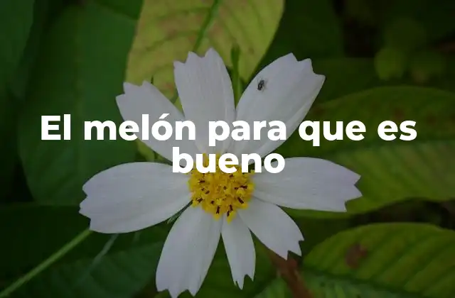 El Melón para que es Bueno