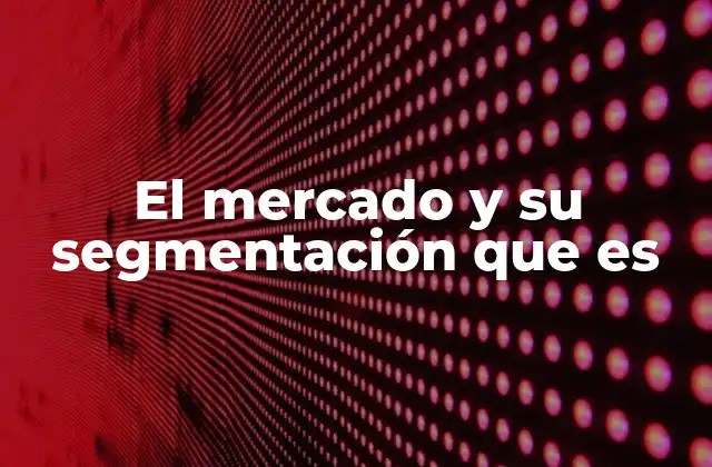 El Mercado y Su Segmentación que es