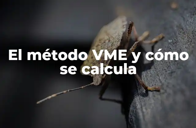 El Método Vme y Cómo Se Calcula