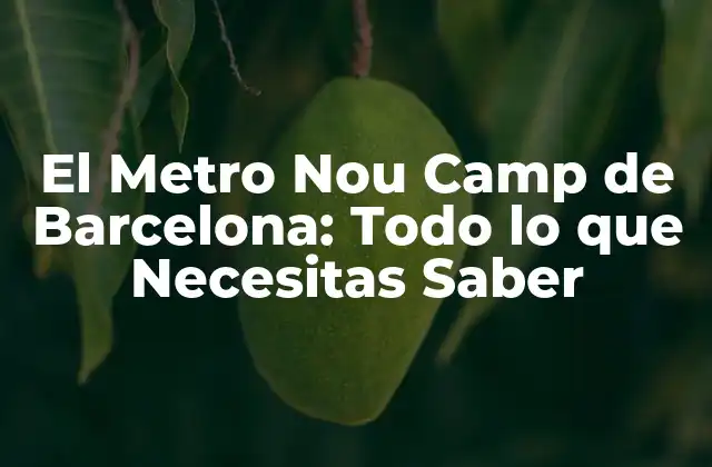 El Metro Nou Camp de Barcelona: Todo Lo que Necesitas Saber