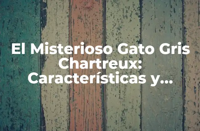 El Misterioso Gato Gris Chartreux: Características y Cuidado