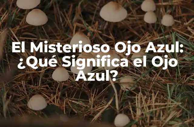 El Misterioso Ojo Azul: ¿qué Significa el Ojo Azul?
