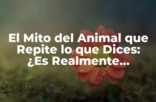 El Mito Del Animal que Repite Lo que Dices: ¿es Realmente Posible?