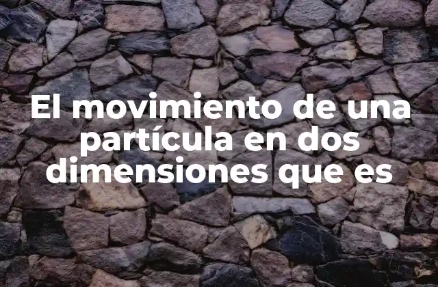 Cómo se describe el movimiento de una partícula en un plano