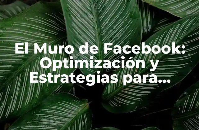 El Muro de Facebook: Optimización y Estrategias para Incrementar Tu Presencia en la Red Social