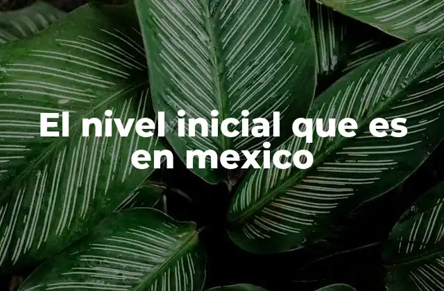 El Nivel Inicial que es en Mexico