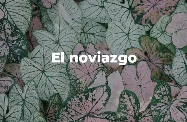 El Noviazgo 2 La evolución del noviazgo a lo largo del tiempo